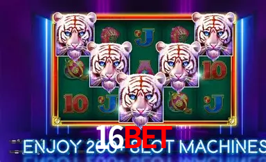 Descubra a Essência do 16bet: Nossa História e Compromissos
