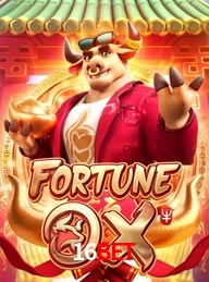 16BET.COM