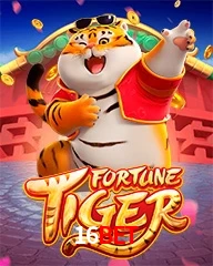 16BET.COM